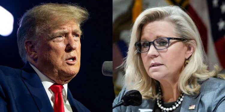 Donald Trump Targets Liz Cheney at Wyoming Rally: ‘Endless, Nonsensical, Bloody, Horrible Wars’