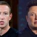 Mark Zuckerberg and Elon Musk Set to Face Off in a Cage Fight: Zuckerberg Challenges Musk to Reveal the Location